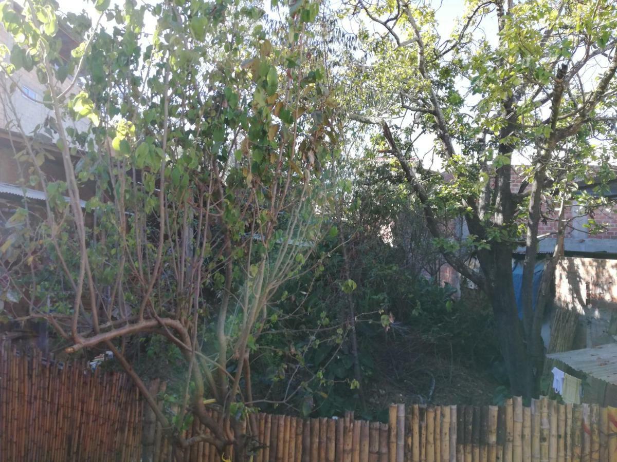 Aventura Chachapoyas Backpackers Exterior foto